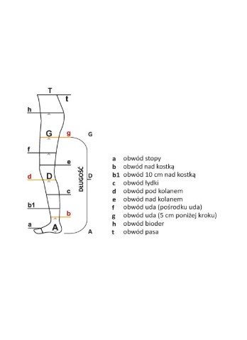 Kniestrümpfe Avicenum PHLEBO 140 AD L NORMAL 3K 8030(8001) natural THIN – Bild 2